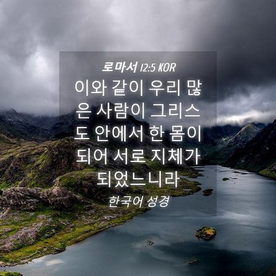 Picture 04 - 로마서 12:5 KOR - 이와 같이 우리 많은 사람이 - Bible Verse Picture