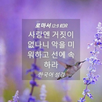 Picture 04 - 로마서 12:9 KOR - 사랑엔 거짓이 없나니 악을 미워하고 - Bible Verse Picture