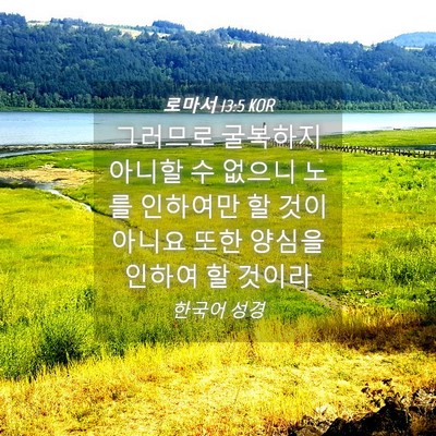 Picture 04 - 로마서 13:5 KOR - 그러므로 굴복하지 아니할 수 없으니 - Bible Verse Picture