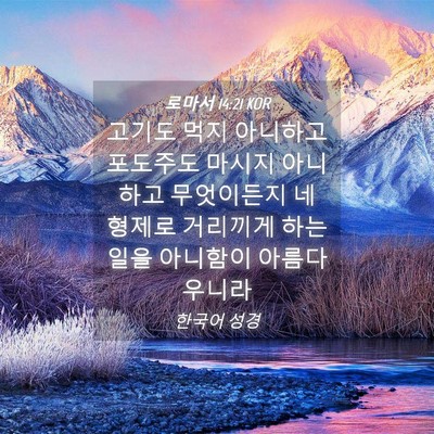 Picture 04 - 로마서 14:21 KOR - 고기도 먹지 아니하고 포도주도 - Bible Verse Picture