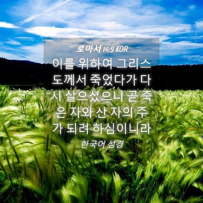 Picture 04 - 로마서 14:9 KOR - 이를 위하여 그리스도께서 죽었다가 - Bible Verse Picture