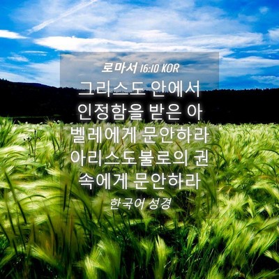 Picture 04 - 로마서 16:10 KOR - 그리스도 안에서 인정함을 받은 - Bible Verse Picture