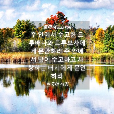 Picture 04 - 로마서 16:12 KOR - 주 안에서 수고한 드루배나와 - Bible Verse Picture