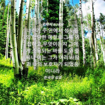 Picture 04 - 로마서 16:2 KOR - 너희가 주 안에서 성도들의 합당한 - Bible Verse Picture