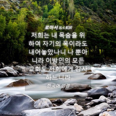 Picture 04 - 로마서 16:4 KOR - 저희는 내 목숨을 위하여 자기의 - Bible Verse Picture