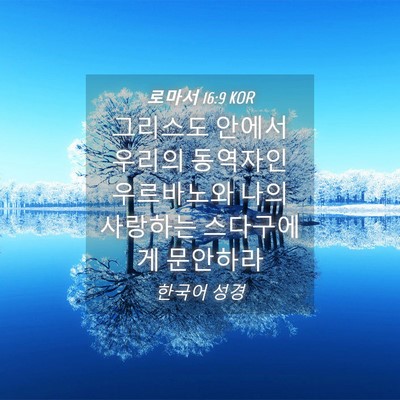 Picture 04 - 로마서 16:9 KOR - 그리스도 안에서 우리의 동역자인 - Bible Verse Picture