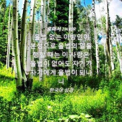 Picture 04 - 로마서 2:14 KOR - (율법 없는 이방인이 본성으로 - Bible Verse Picture