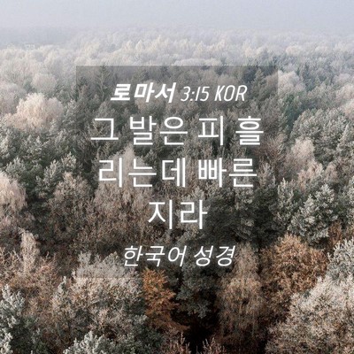 Picture 04 - 로마서 3:15 KOR - 그 발은 피 흘리는데 - Bible Verse Picture