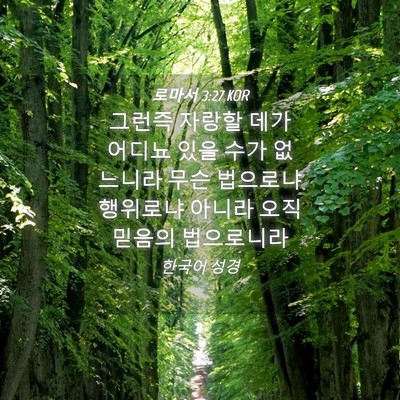 Picture 04 - 로마서 3:27 KOR - 그런즉 자랑할 데가 어디뇨 있을 - Bible Verse Picture
