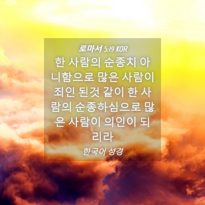 Picture 04 - 로마서 5:19 KOR - 한 사람의 순종치 아니함으로 많은 - Bible Verse Picture