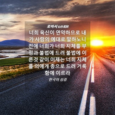 Picture 04 - 로마서 6:19 KOR - 너희 육신이 연약하므로 내가 사람의 - Bible Verse Picture