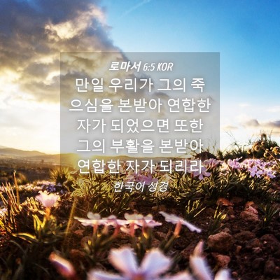 Picture 04 - 로마서 6:5 KOR - 만일 우리가 그의 죽으심을 본받아 - Bible Verse Picture