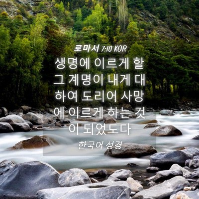Picture 04 - 로마서 7:10 KOR - 생명에 이르게 할 그 계명이 내게 - Bible Verse Picture
