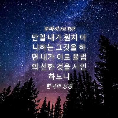 Picture 04 - 로마서 7:16 KOR - 만일 내가 원치 아니하는 그것을 - Bible Verse Picture