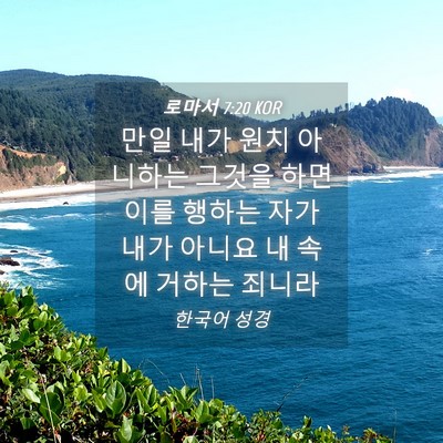 Picture 04 - 로마서 7:20 KOR - 만일 내가 원치 아니하는 그것을 - Bible Verse Picture