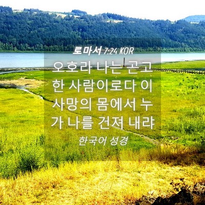 Picture 04 - 로마서 7:24 KOR - 오호라 나는 곤고한 사람이로다 이 - Bible Verse Picture