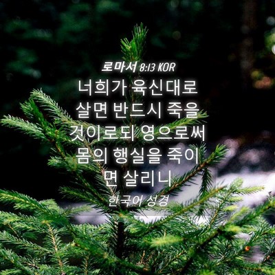 Picture 04 - 로마서 8:13 KOR - 너희가 육신대로 살면 반드시 죽을 - Bible Verse Picture