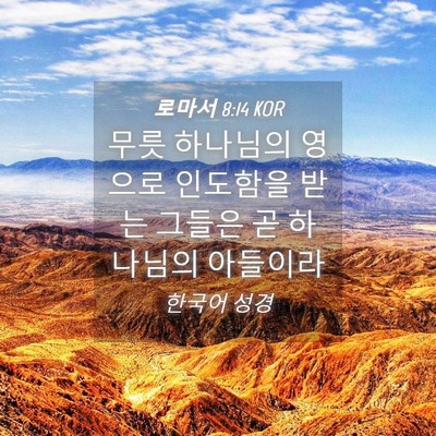 Picture 04 - 로마서 8:14 KOR - 무릇 하나님의 영으로 인도함을 받는 - Bible Verse Picture