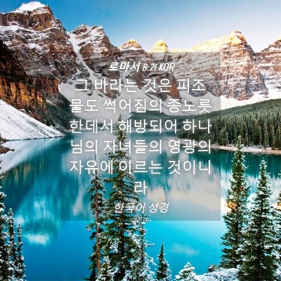 Picture 04 - 로마서 8:21 KOR - 그 바라는 것은 피조물도 썩어짐의 - Bible Verse Picture