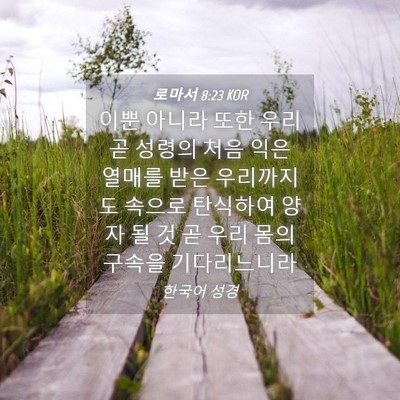 Picture 04 - 로마서 8:23 KOR - 이뿐 아니라 또한 우리 곧 성령의 - Bible Verse Picture