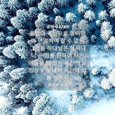 Picture 04 - 로마서 8:3 KOR - 율법이 육신으로 말미암아 연약하여 - Bible Verse Picture