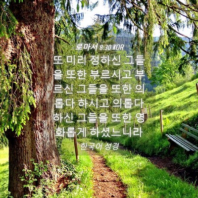 Picture 04 - 로마서 8:30 KOR - 또 미리 정하신 그들을 또한 - Bible Verse Picture