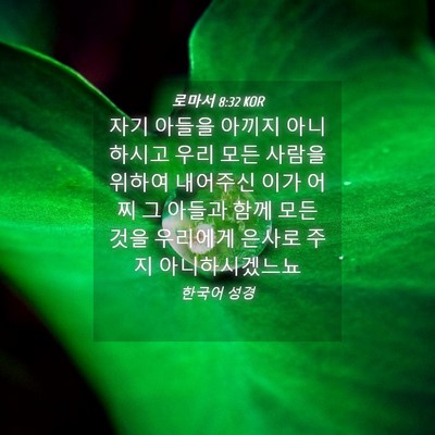 Picture 04 - 로마서 8:32 KOR - 자기 아들을 아끼지 아니하시고 우리 - Bible Verse Picture