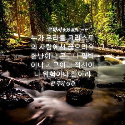 Picture 04 - 로마서 8:35 KOR - 누가 우리를 그리스도의 사랑에서 - Bible Verse Picture