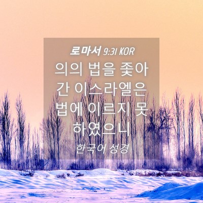 Picture 04 - 로마서 9:31 KOR - 의의 법을 좇아간 이스라엘은 법에 - Bible Verse Picture