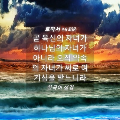 Picture 04 - 로마서 9:8 KOR - 곧 육신의 자녀가 하나님의 자녀가 - Bible Verse Picture