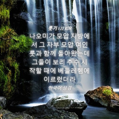 Picture 04 - 룻기 1:22 KOR - 나오미가 모압 지방에서 그 자부 - Bible Verse Picture