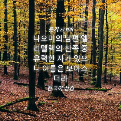 Picture 04 - 룻기 2:1 KOR - 나오미의 남편 엘리멜렉의 친족 중 - Bible Verse Picture