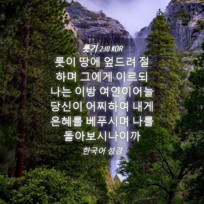 Picture 04 - 룻기 2:10 KOR - 룻이 땅에 엎드려 절하며 그에게 - Bible Verse Picture