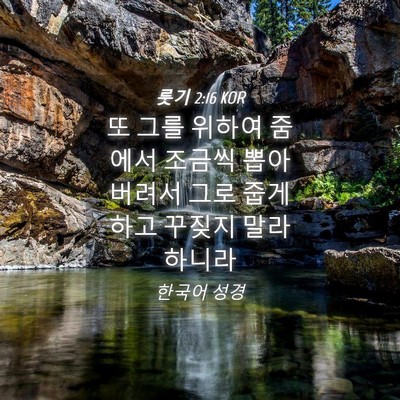 Picture 04 - 룻기 2:16 KOR - 또 그를 위하여 줌에서 조금씩 뽑아 - Bible Verse Picture