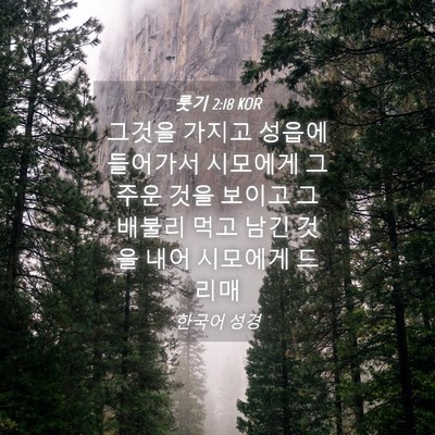 Picture 04 - 룻기 2:18 KOR - 그것을 가지고 성읍에 들어가서 - Bible Verse Picture