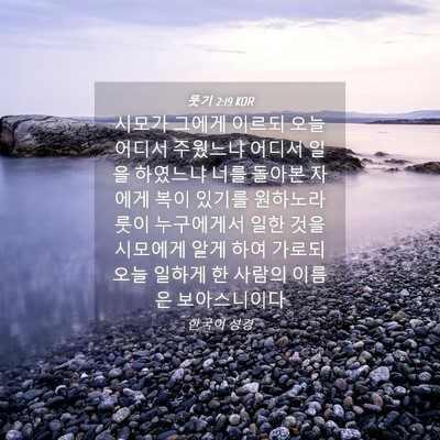 Picture 04 - 룻기 2:19 KOR - 시모가 그에게 이르되 오늘 어디서 - Bible Verse Picture