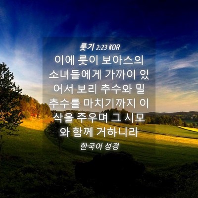 Picture 04 - 룻기 2:23 KOR - 이에 룻이 보아스의 소녀들에게 - Bible Verse Picture