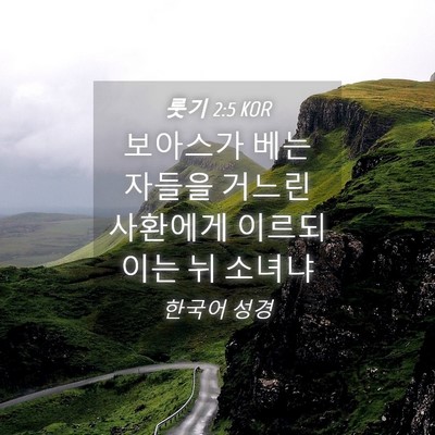 Picture 04 - 룻기 2:5 KOR - 보아스가 베는 자들을 거느린 - Bible Verse Picture