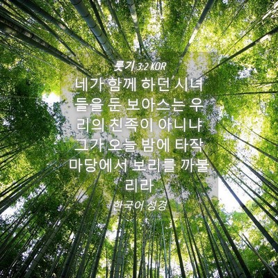 Picture 04 - 룻기 3:2 KOR - 네가 함께 하던 시녀들을 둔 - Bible Verse Picture