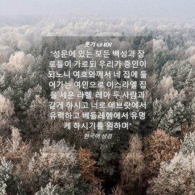 Picture 04 - 룻기 4:11 KOR - 