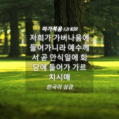Picture 04 - 마가복음 1:21 KOR - 저희가 가버나움에 들어가니라 - Bible Verse Picture