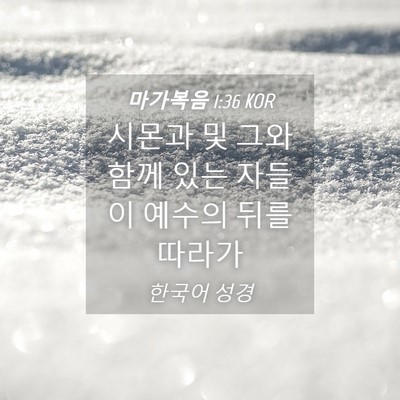 Picture 04 - 마가복음 1:36 KOR - 시몬과 및 그와 함께 있는 자들이 - Bible Verse Picture