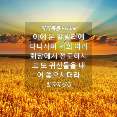 Picture 04 - 마가복음 1:39 KOR - 이에 온 갈릴리에 다니시며 저희 - Bible Verse Picture