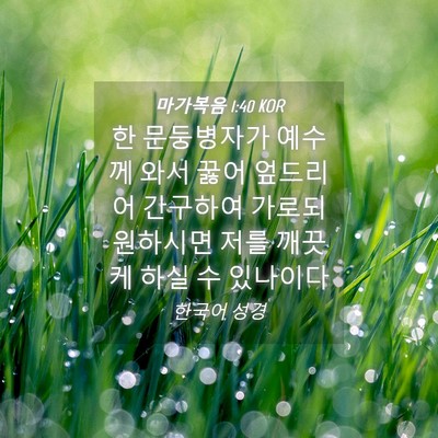 Picture 04 - 마가복음 1:40 KOR - 한 문둥병자가 예수께 와서 꿇어 - Bible Verse Picture