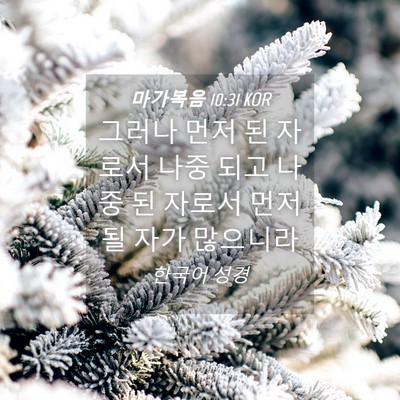 Picture 04 - 마가복음 10:31 KOR - 그러나 먼저 된 자로서 나중 되고 - Bible Verse Picture