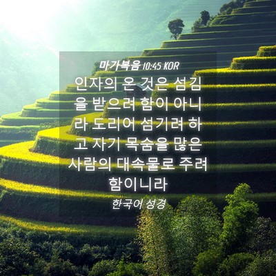 Picture 04 - 마가복음 10:45 KOR - 인자의 온 것은 섬김을 받으려 함이 - Bible Verse Picture