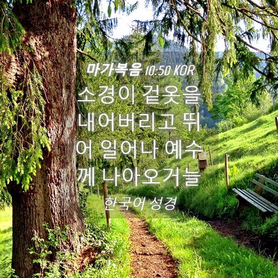Picture 04 - 마가복음 10:50 KOR - 소경이 겉옷을 내어버리고 뛰어 - Bible Verse Picture