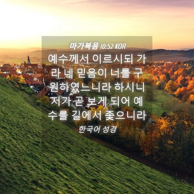 Picture 04 - 마가복음 10:52 KOR - 예수께서 이르시되 가라 네 믿음이 - Bible Verse Picture