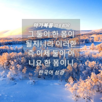 Picture 04 - 마가복음 10:8 KOR - 그 둘이 한 몸이 될지니라 이러한즉 - Bible Verse Picture
