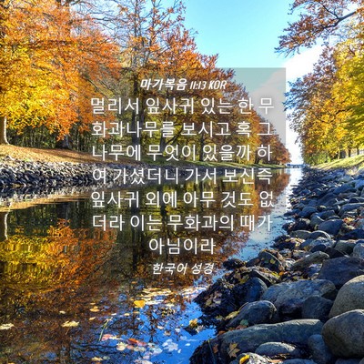 Picture 04 - 마가복음 11:13 KOR - 멀리서 잎사귀 있는 한 무화과나무를 - Bible Verse Picture